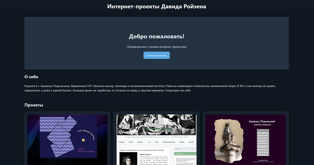 Интернет-проекты Давида Ройзена
